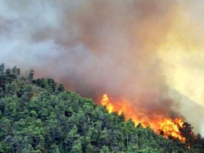 جایی که جنگل می‌سوزد و انسان می‌جنگد!