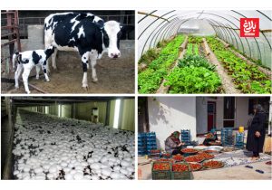 ۴/۵ میلیارد تومان اشتغالزایی و پیوند نسلها