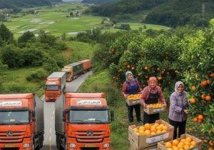 پوستاندازی باغهای شمال تا میوههایی که جهانگیر میشوند!