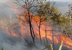 از بررسی دقیق حریقها تا تحقق آرزوی ۱۶ ساله