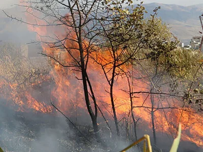 از بررسی دقیق حریقها تا تحقق آرزوی ۱۶ ساله