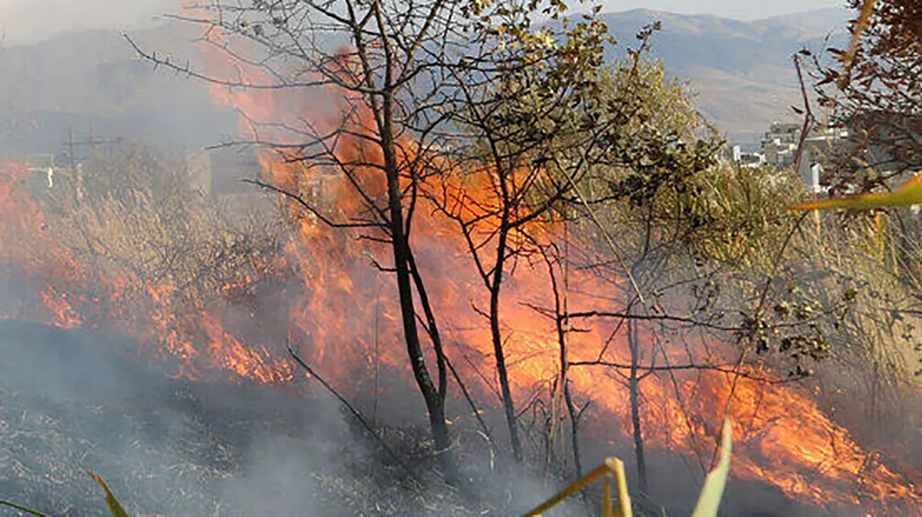 از بررسی دقیق حریقها تا تحقق آرزوی ۱۶ ساله از بررسی دقیق حریقها تا تحقق آرزوی ۱۶ ساله