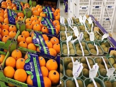 صادرات ۵۰ هزار تُن مرکبات و کیوی از مازندران