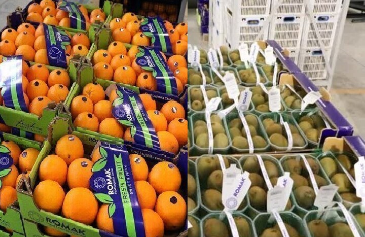 صادرات ۵۰ هزار تُن مرکبات و کیوی از مازندران صادرات ۵۰ هزار تُن مرکبات و کیوی از مازندران