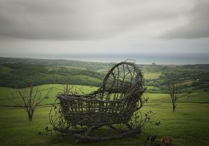 وقتی زاد و ولد به مرز هشدار میرسد!