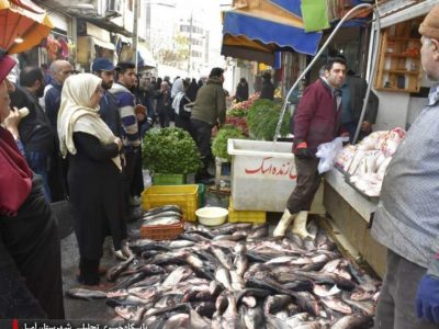 نظارتهای مستمر بر بازار آمل در آستانه یلدا