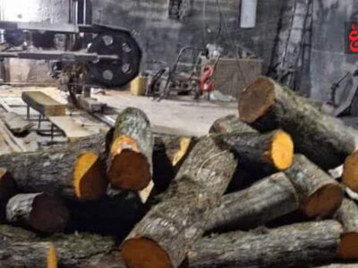 ۱۵ تن چوب جنگلی قاچاق در آمل توقیف شد