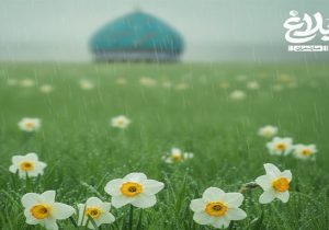 هر روزِ درست زیستن، قدمی به سوی ظهور