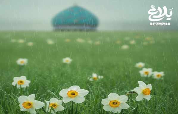 هر روزِ درست زیستن، قدمی به سوی ظهور