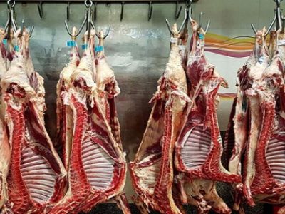 گوشت قرمز در دیگ گرانی