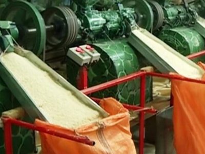 شالیکوبی؛ صنعتی که چشم‌انتظار حمایت است