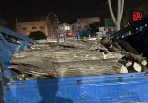 توقیف نیسان حامل چوبهای قاچاق در جنگلهای آمل