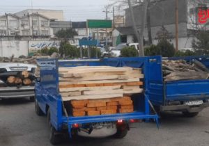 دستگاه‌های حامل چوب قاچاق در آمل کشف شد