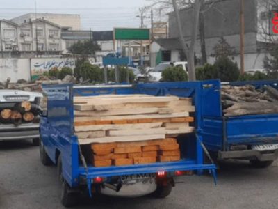 دستگاههای حامل چوب قاچاق در آمل کشف شد