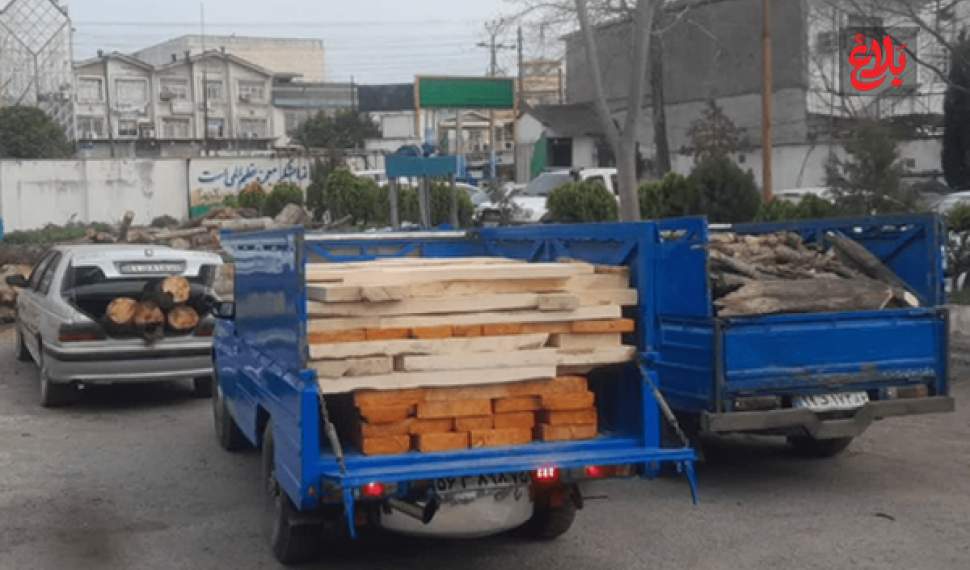 دستگاه‌های حامل چوب قاچاق در آمل کشف شد