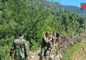 بازپسگیری ۲ هزار مترمربع از بیتالمال در آمل