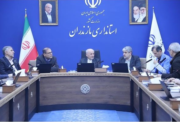 فعالیت عادی ادارات تا تزریق ۴ هزار تن آرد فوق‌العاده