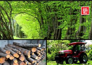 دستگیری قاچاقچی حرفه‌ای چوب در آمل