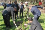 غرس نهال به یاد رهبر شهید در دو پارک جنگلی آمل