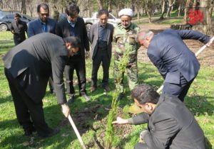 غرس نهال به یاد رهبر شهید در دو پارک جنگلی آمل