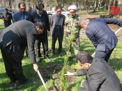 غرس نهال به یاد رهبر شهید در دو پارک جنگلی آمل