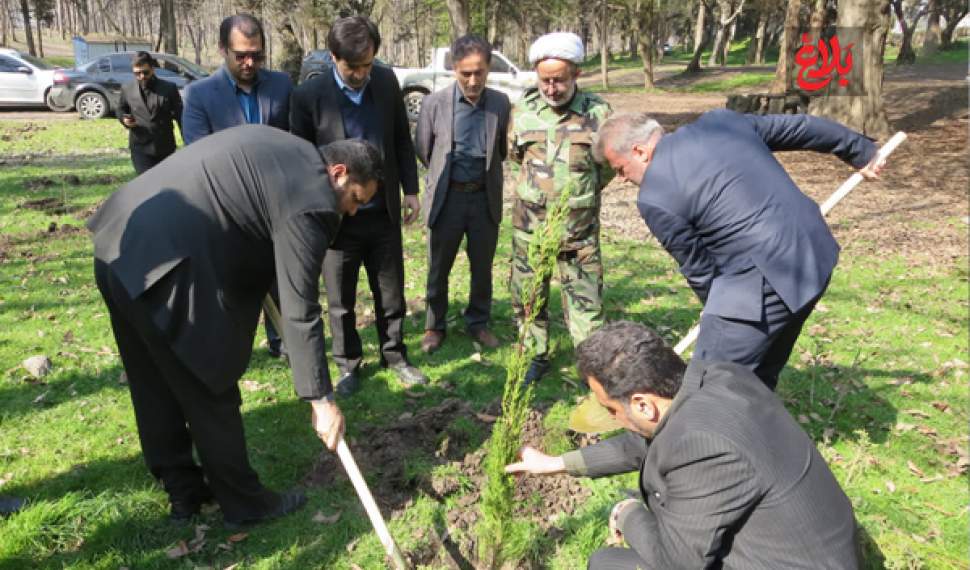 غرس نهال به یاد رهبر شهید در دو پارک جنگلی آمل