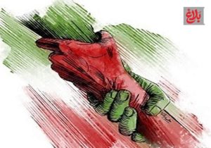 همبستگی اجتماعی میوه درخت «سلامت معنوی» است