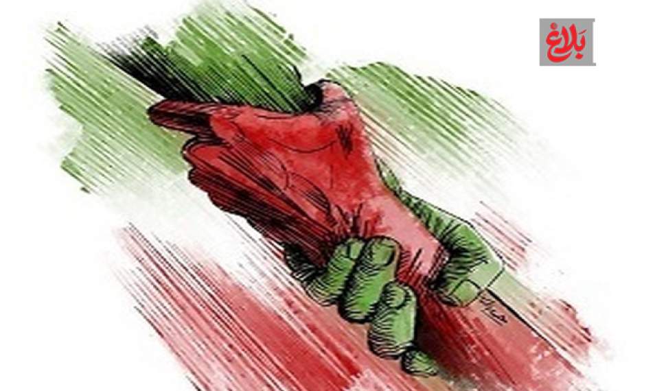 همبستگی اجتماعی میوه درخت «سلامت معنوی» است