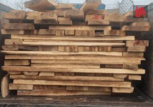 کشف ۱۲ مترمکعب چوب جنگلی در آمل