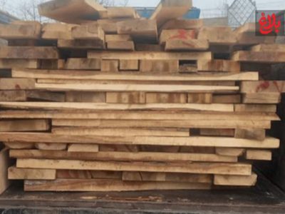 کشف ۱۲ مترمکعب چوب جنگلی در آمل