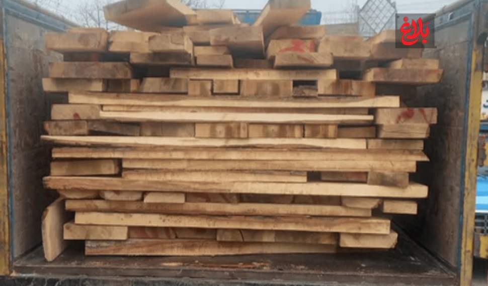 کشف ۱۲ مترمکعب چوب جنگلی در آمل کشف ۱۲ مترمکعب چوب جنگلی در آمل