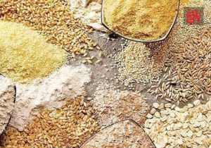 توزیع بیش از ۱۲ هزار تن نهاده دامی در آمل