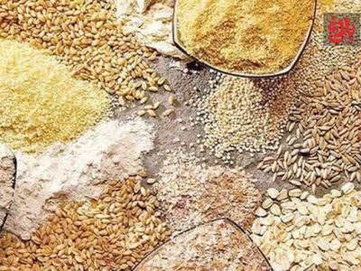 توزیع بیش از ۱۲ هزار تن نهاده دامی در آمل