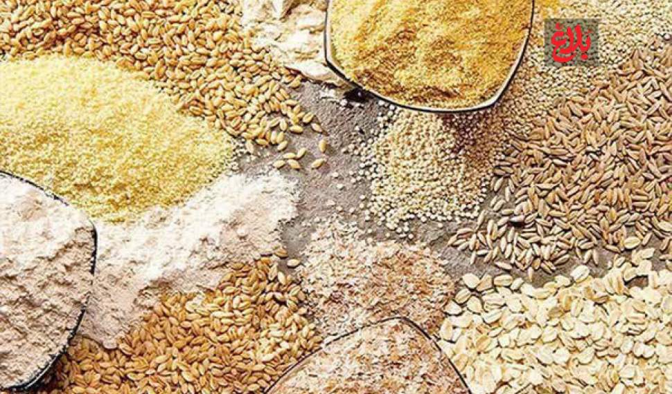 توزیع بیش از ۱۲ هزار تن نهاده دامی در آمل