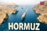 «تنگه هرمز» زنگ خطری برای زنجیره تأمین جهانی است