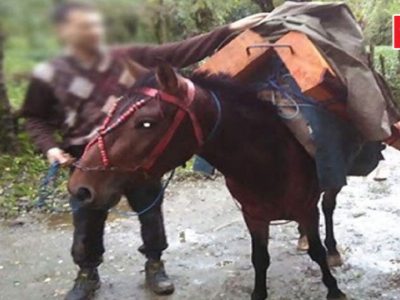 دستگیری قاچاقچی حرفهای چوب در جنگلهای آمل