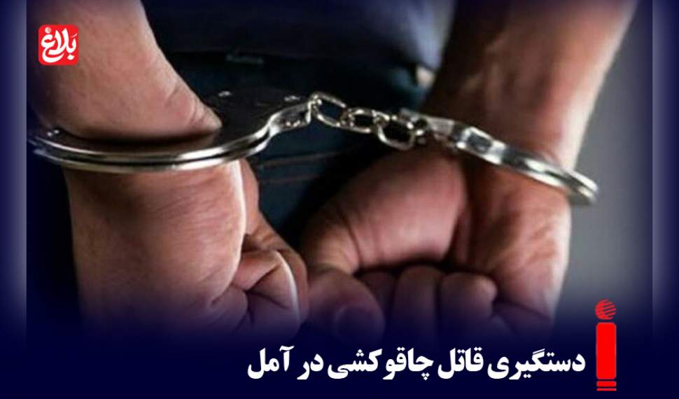 دستگیری قاتل چاقوکشی در آمل