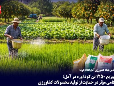 توزیع ۱۲۵۰ تن کود اوره در آمل