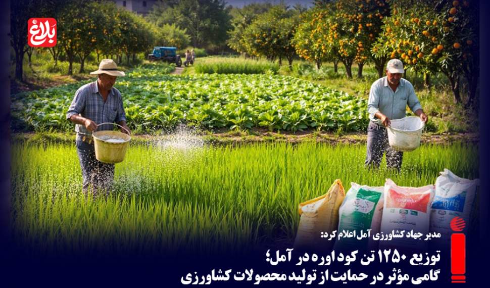 توزیع ۱۲۵۰ تن کود اوره در آمل