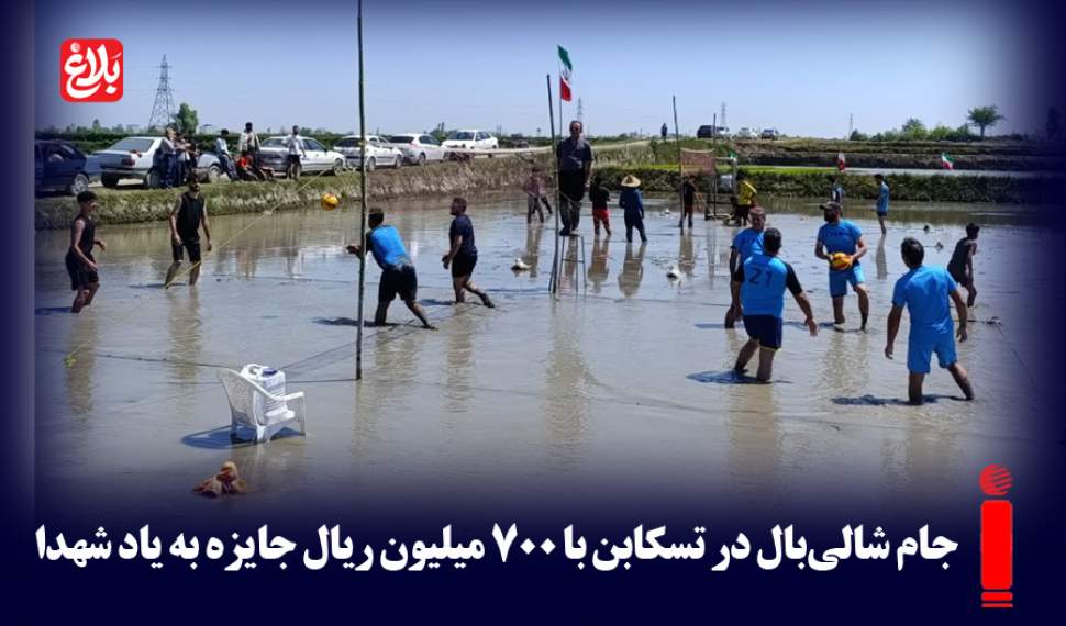 برگزاری جام شالی‌بال در تسکابن به یاد شهدا