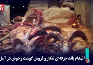 انهدام باند حرفه‌ای شکار و فروش گوشت وحوش در آمل